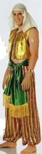 aladdin roleplaying halloween costume men man