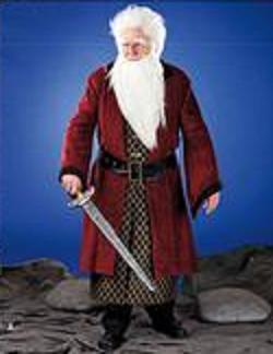 balin son of fundin the hobbit roleplaying costume