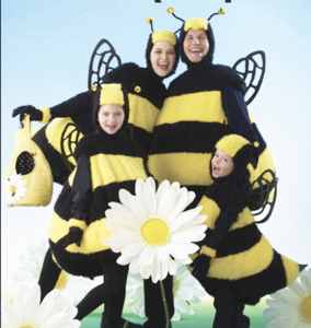 killer bees roleplaying fantasy costume