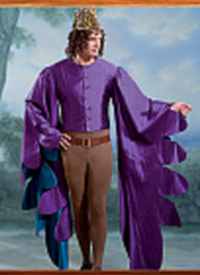 mens medieval courtier historical roleplaying costume