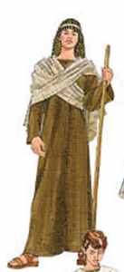 mens shepherd christmas roleplaying costume