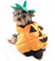 pumpkin pet costume