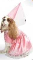 queen dog pet costume