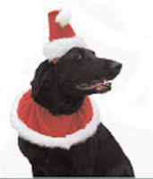 santa dog collar pet costume