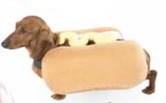 weiner dog pet costume