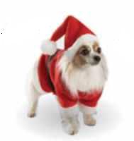 santa dog